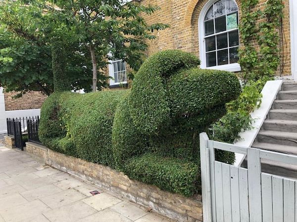 This person has cut their hedge to look like a dog.