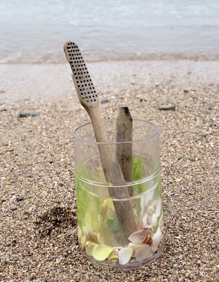 beach finds - washed ashore - grass family - Extra