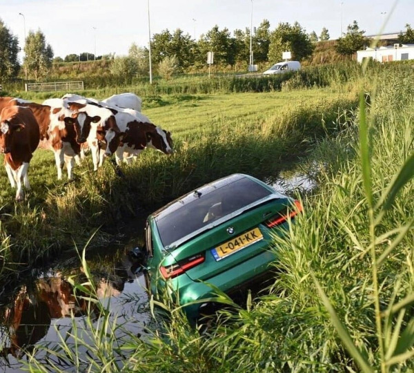 43 Stupid Drivers Who Need To Be Taken Off The Road.