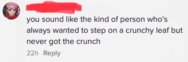 comments that nailed it -  website - you sound the kind of person who's always wanted to step on a crunchy leaf but never got the crunch 22h