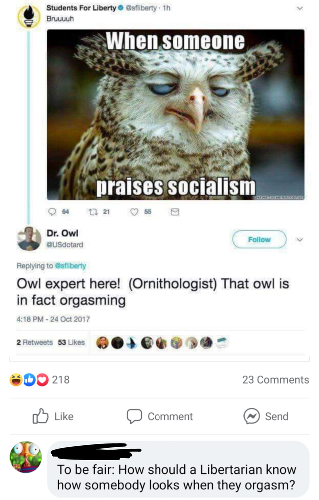 comments that nailed it -  me when someone praises socialism - Students For Liberty audiowy. Th Brun When someone praises socialism Dr. Owl Gustard F Pangilying to Owl expert here! Ornithologist That owl is in fact orgasming 2PM 2 Pettes 218 23 Comment Se