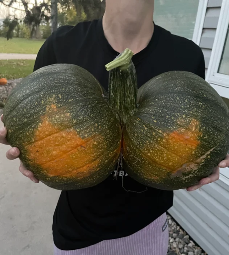 cool and fascinating things - winter squash - 1