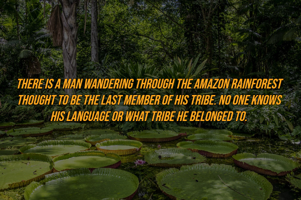 There Is A Man Wandering Through The Amazon Rainforest Thought To Be The Last Member Of His Tribe. No One Knows His Language Or What Tribe He Belonged To.