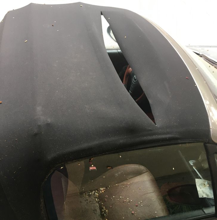 “I found out someone cut through the convertible top of my unlocked car, then it rained inside.”