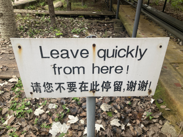 26 Things That Got Lost In Translation.