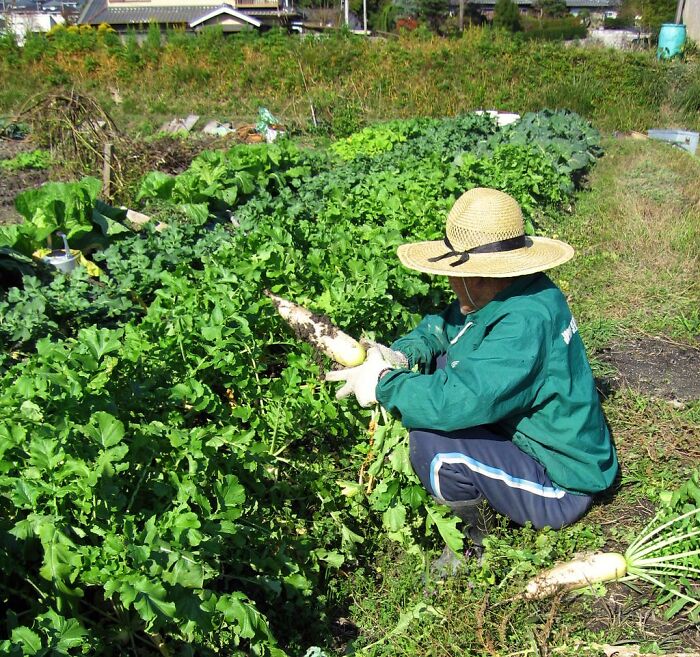 34 Lies People Tell Themselves To Feel Better.