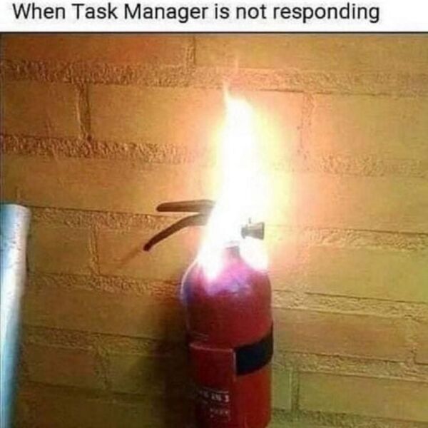 funny memes - bad luck - task manager you were supposed to destroy them not join them - When Task Manager is not responding