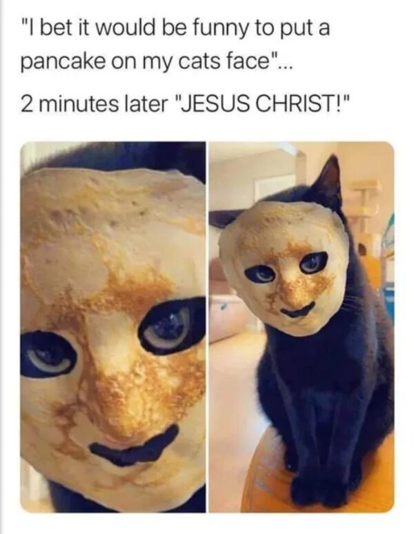 funny memes - bad luck - r oddlyterrifying - "I bet it would be funny to put a pancake on my cats face"... 2 minutes later "Jesus Christ!"