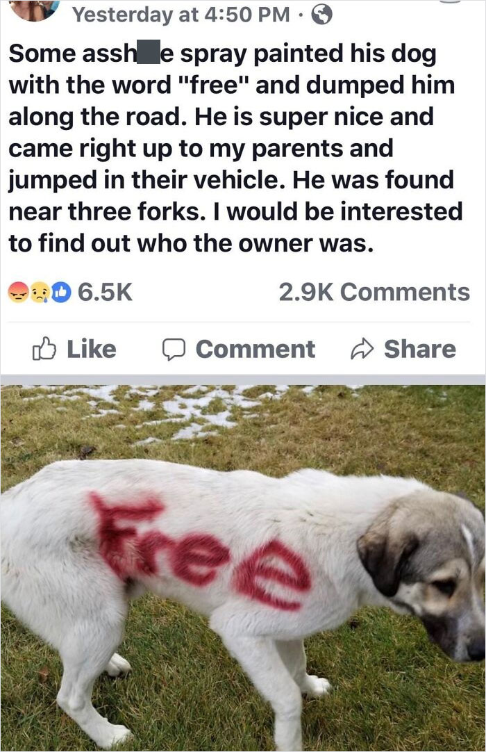 30 People Who Are Just A**holes.