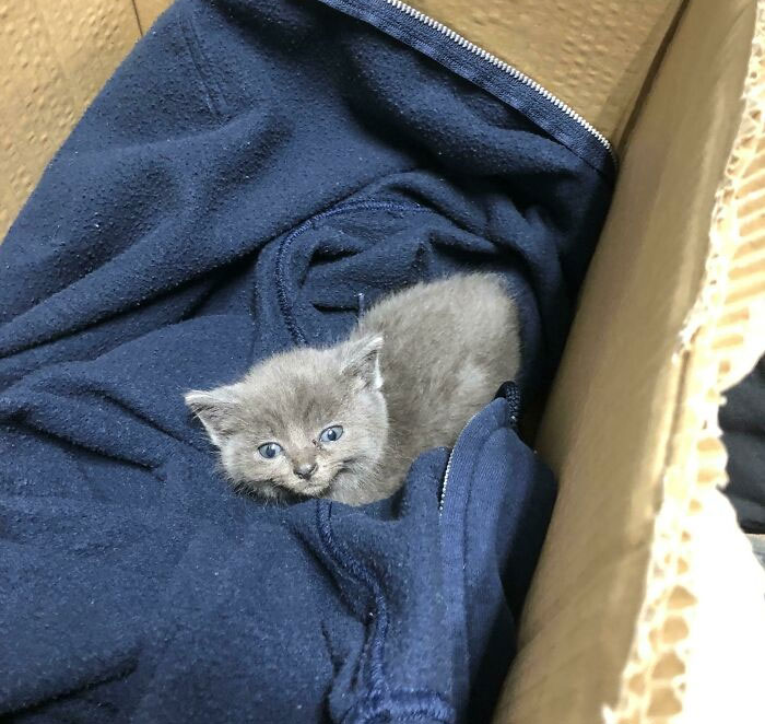 30 People Who Are Just A**holes.