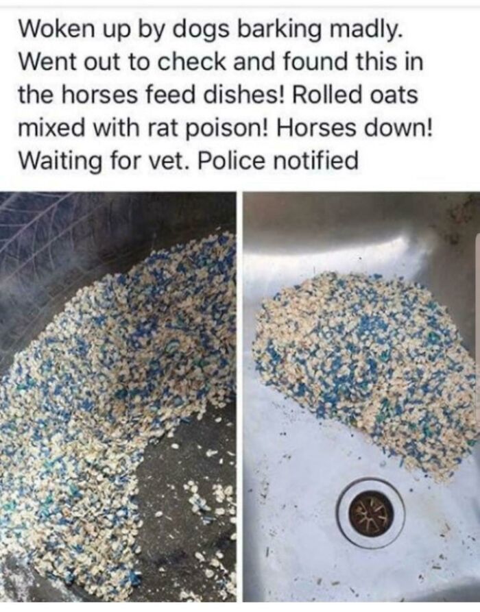 30 People Who Are Just A**holes.