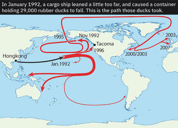 charts - infographics - rubber ducks in ocean - In , a cargo ship leaned a little too far, and caused a container holding 29,000 rubber ducks to fall. This is the path those ducks took. 1995 2003 Nov. 1992 Tacoma 1996 2007 Hongkong 20002003 Jan. 1992