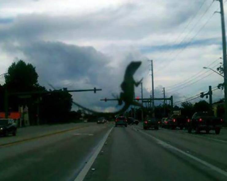 50 Pics That Might Leave You Speechless.