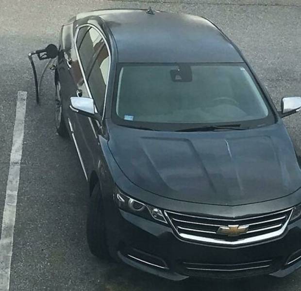 50 Pics That Might Leave You Speechless.