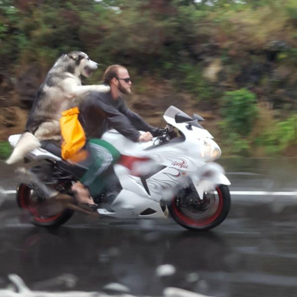 50 Pics That Might Leave You Speechless.