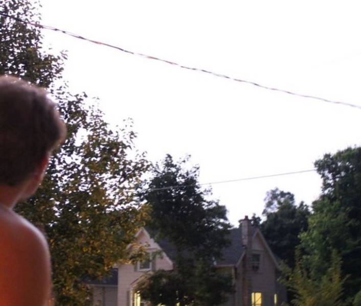 50 Pics That Might Leave You Speechless.