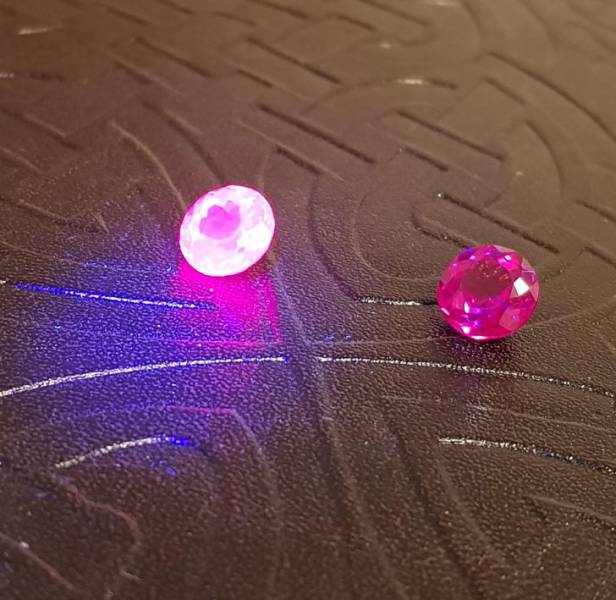 50 Pics That Might Leave You Speechless.