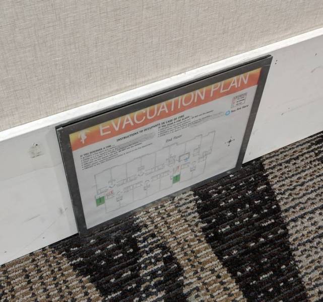 50 Pics That Might Leave You Speechless.