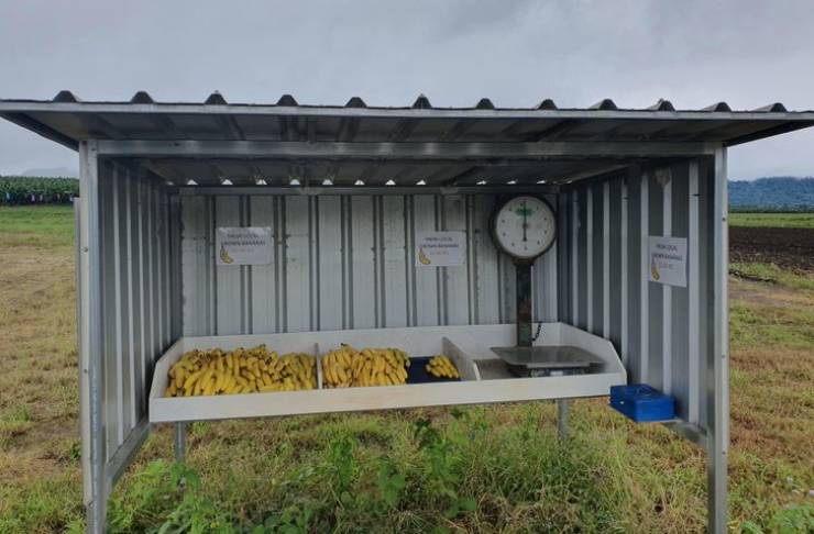 50 Pics That Might Leave You Speechless.