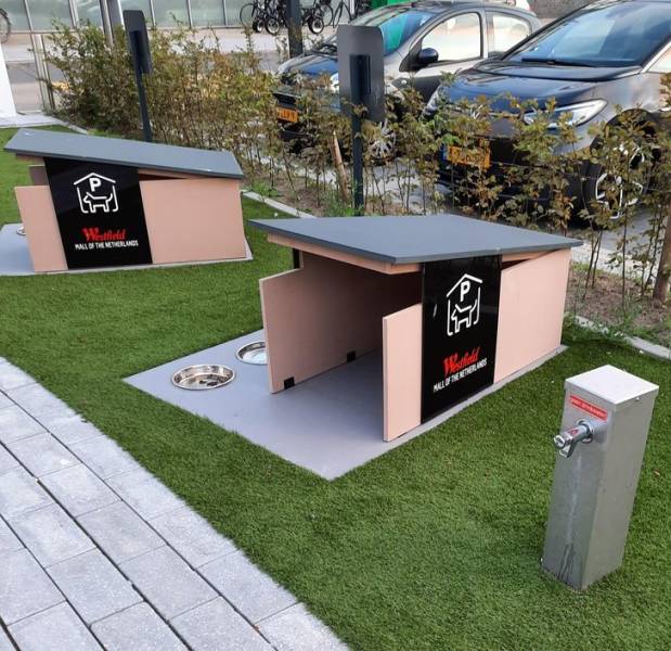 50 Pics That Might Leave You Speechless.