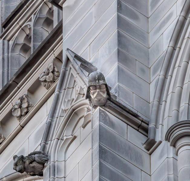 50 Pics That Might Leave You Speechless.