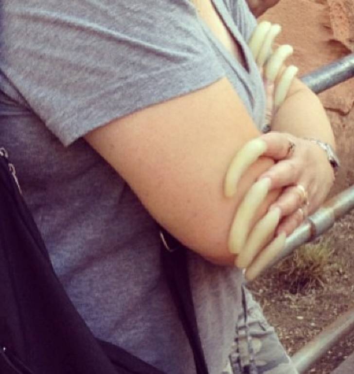 50 Pics That Might Leave You Speechless.