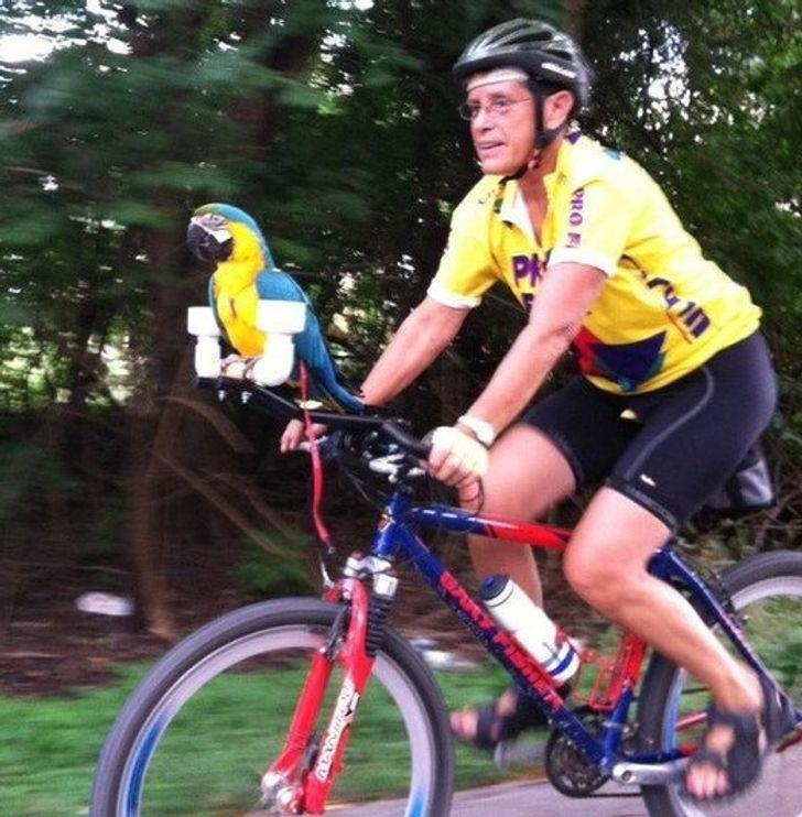 50 Pics That Might Leave You Speechless.