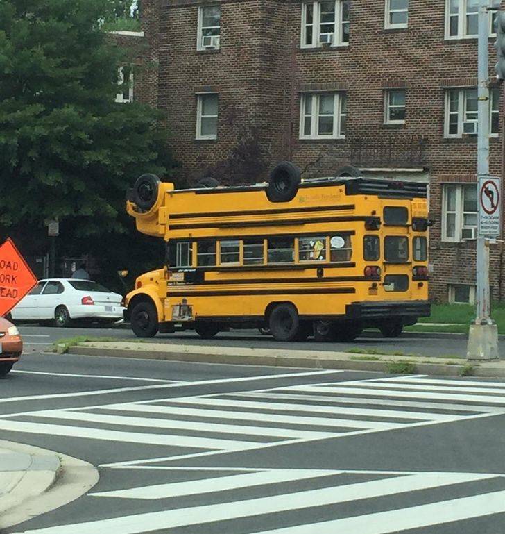 50 Pics That Might Leave You Speechless.