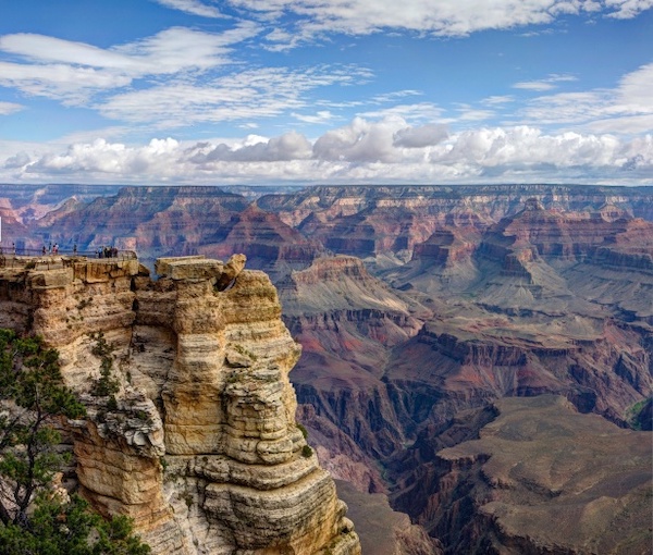 When I was a kid, I went to the Grand Canyon with my family. We found a spot without a fence and went to take a photo.

My mom told my brother and I to back up a bit (she meant one step) and I took about 4-5 steps before my brother snatched my shirt and threw me forward to the ground. I was about 2 feet away from falling into the Grand Canyon.