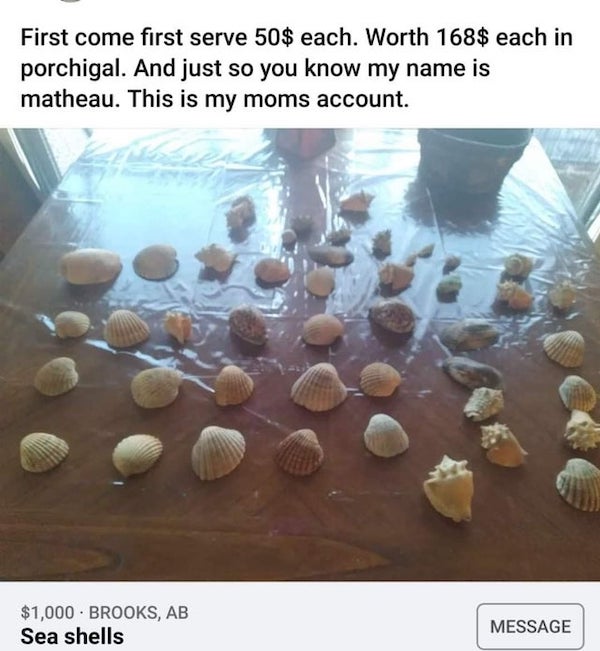 wtf things being sold online - First come first serve 50$ each. Worth 168$ each in porchigal. And just so you know my name is matheau. This is my moms account. $1,000. Brooks, Ab Sea shells Message