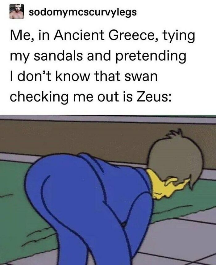 history memes - me pretending not to notice zeus - sodomymcscurvylegs Me, in Ancient Greece, tying my sandals and pretending I don't know that swan checking me out is Zeus