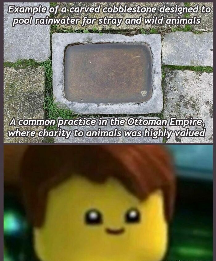 history memes - Example of a carved cobblestone designed to pool rainwater for stray and wild animals A common practice in the Ottoman Empire, where charity to animals was highly valued