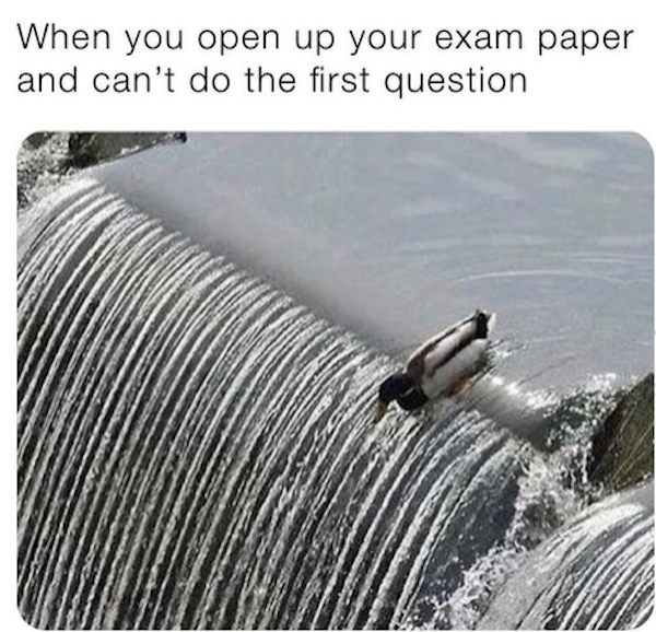 just give up meme - When you open up your exam paper and can't do the first question