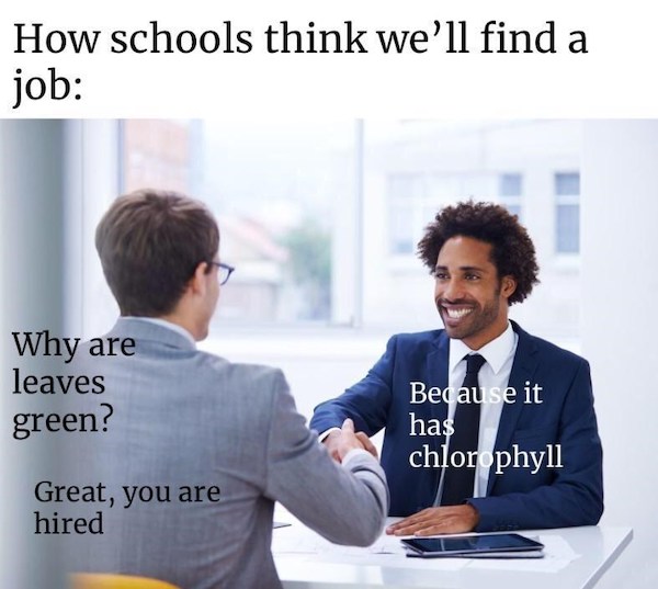 schools think we will get a job - How schools think we'll find a job Why are leaves green? Because it has chlorophyll Great, you are hired