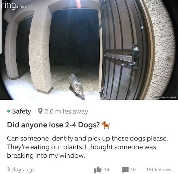 30 WTF Posts From The Nextdoor App.