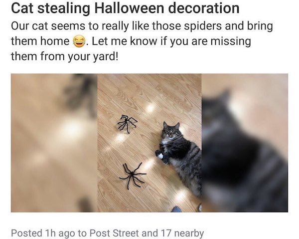 30 WTF Posts From The Nextdoor App.