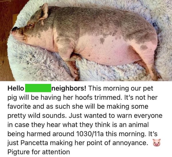 30 WTF Posts From The Nextdoor App.