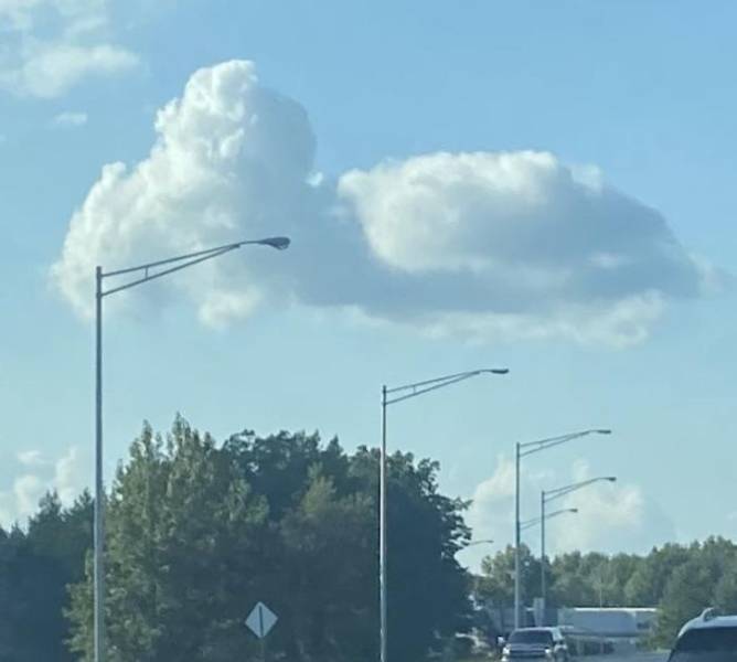 "This cloud looks just like Snoopy lying down."