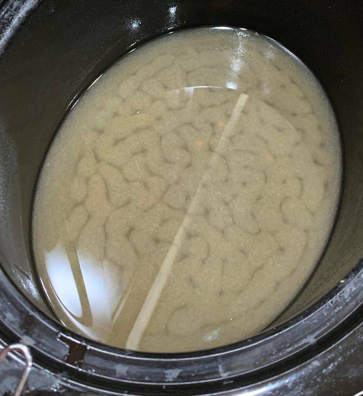 “Looks like there are brain folds at the bottom of a crock pot of apple cider.”