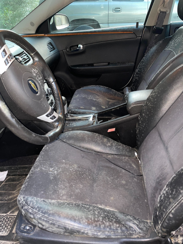 “Left my car sitting at work for a little over a month. Went to go pick it up today and the interior is covered in mold. FML.”