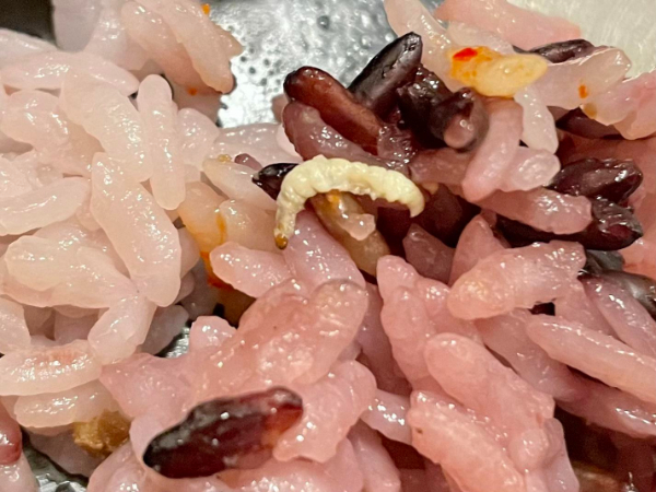 “Found a worm in my takeout food.”