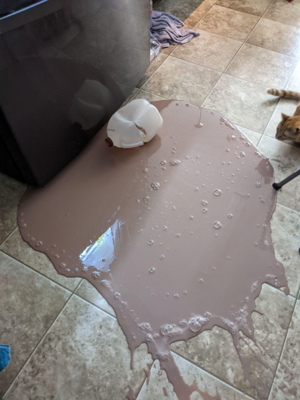 “Just bought gallon of chocolate milk for the kids. Bumped it trying to put it in to the fridge and it Noped right out of my hand.”