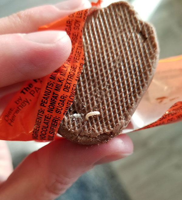 When you’ve been looking forward to a Reese’s all day but then you open one up and find a worm in it.