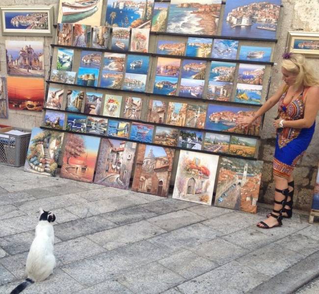 “Spotted a lady in Dubrovnik teaching this cat about art.”