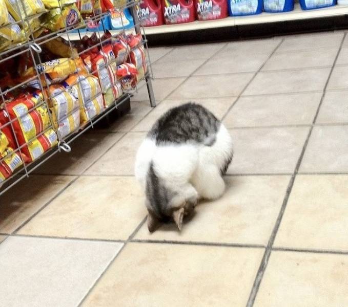 “Saw this guy sleeping in a shop in NYC.”