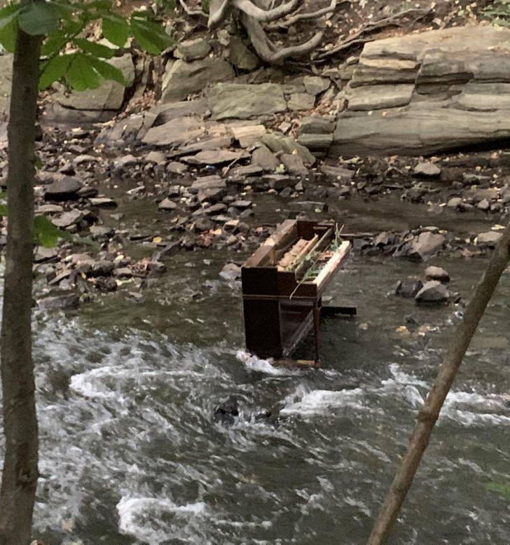 “This is a piano I spotted in a river during my run this morning. It hasn’t rained a lot lately, and it appeared here in the last 48 hours.”