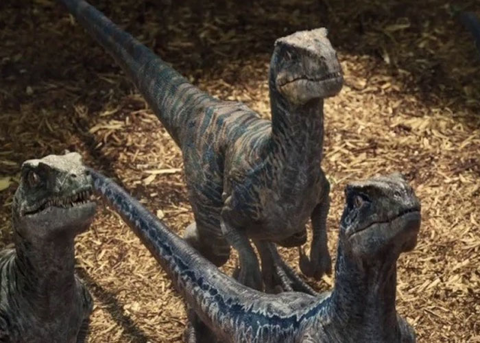 that Velociraptors were the size of a turkey in real life, not 2m (6 1⁄2 ft) tall as they were portrayed in Jurassic Park movie.