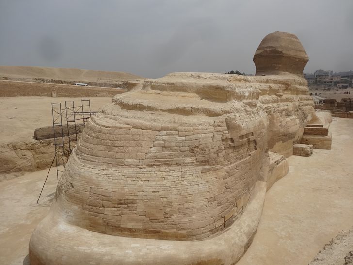 The Egyptian sphinx has a tail. Many people have seen the famous face of the sphinx on the pages of history books but few people know that it also has a tail.