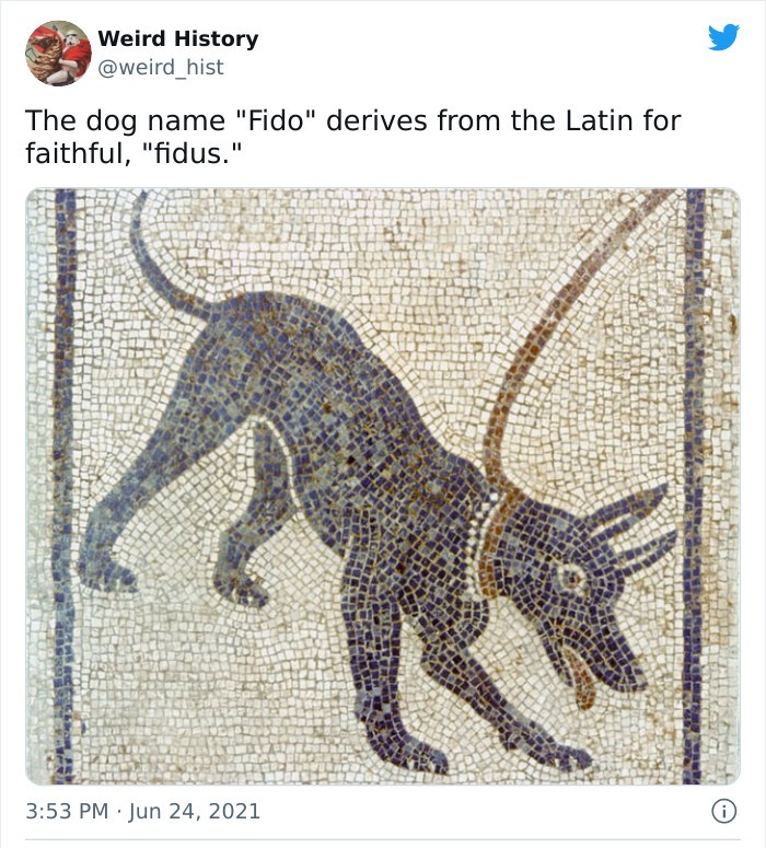 odd history facts and pics  - cave canem - Weird History The dog name "Fido" derives from the Latin for faithful, "fidus." | 0