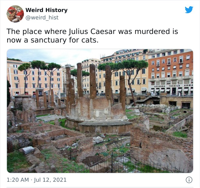 odd history facts and pics  - largo di torre argentina - Weird History The place where Julius Caesar was murdered is now a sanctuary for cats. Nm Ade Eiend Terbilo Loma 0